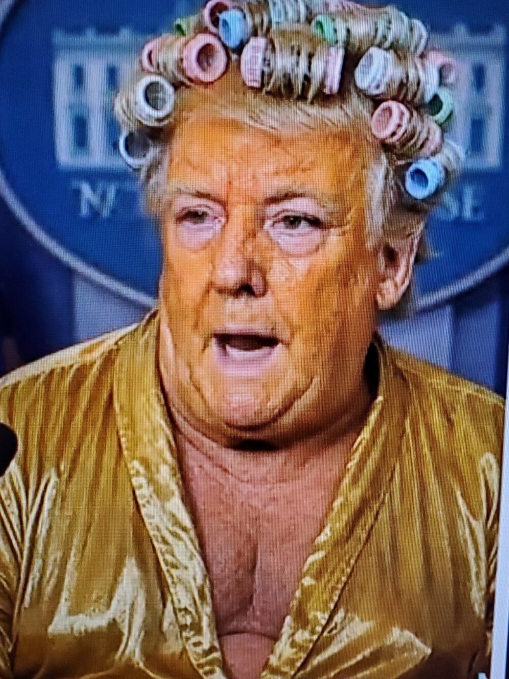 Gold Framed Donald Trump 2026 Performance Evaluation - POS - NOT For Kids!